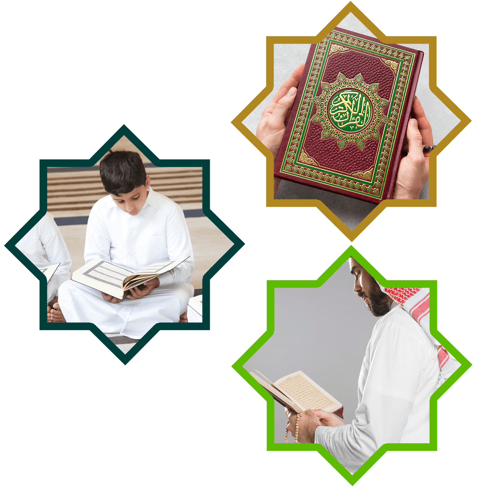 quran for read